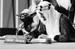 Saudi official axed over king image with Star Wars icon